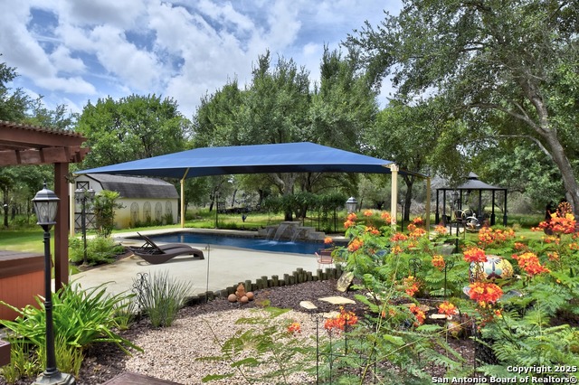1810 Burr Oak, Adkins, Texas image 3