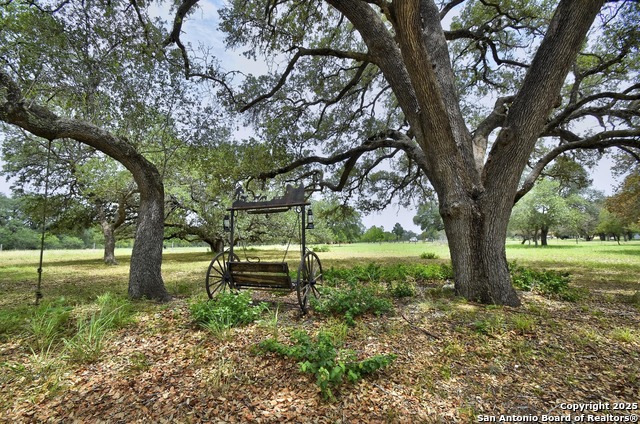 1810 Burr Oak, Adkins, Texas image 7