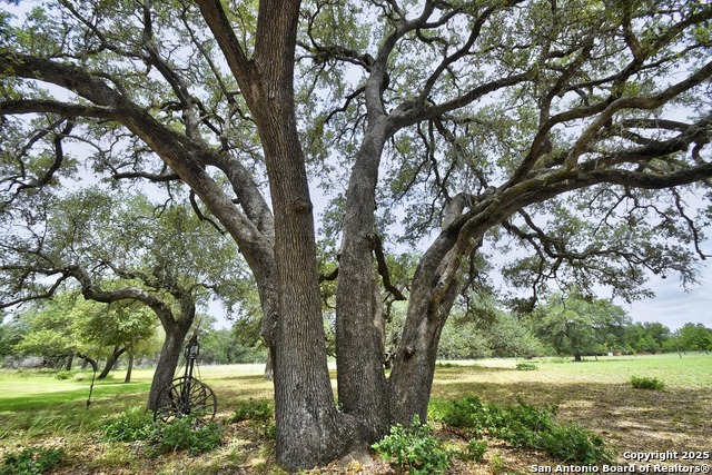 1810 Burr Oak, Adkins, Texas image 8