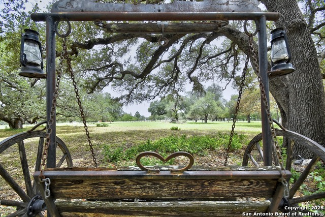1810 Burr Oak, Adkins, Texas image 9