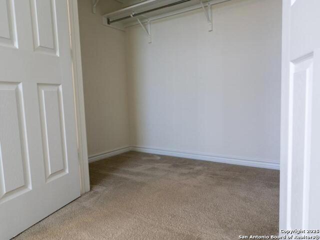 105 Colonial Bluff, Universal City, Texas image 13