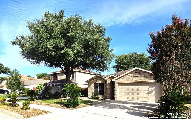 9119 Hampton Hills, Selma, Texas image 1