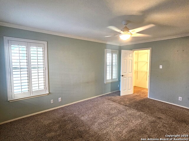 9119 Hampton Hills, Selma, Texas image 14