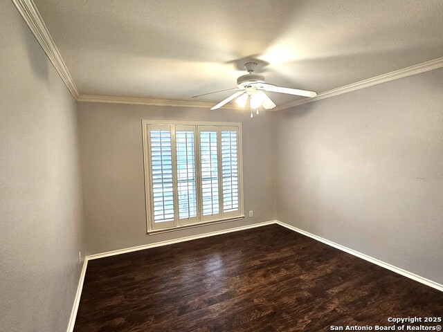 9119 Hampton Hills, Selma, Texas image 18