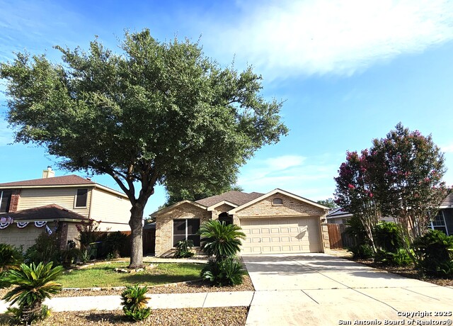 9119 Hampton Hills, Selma, Texas image 21