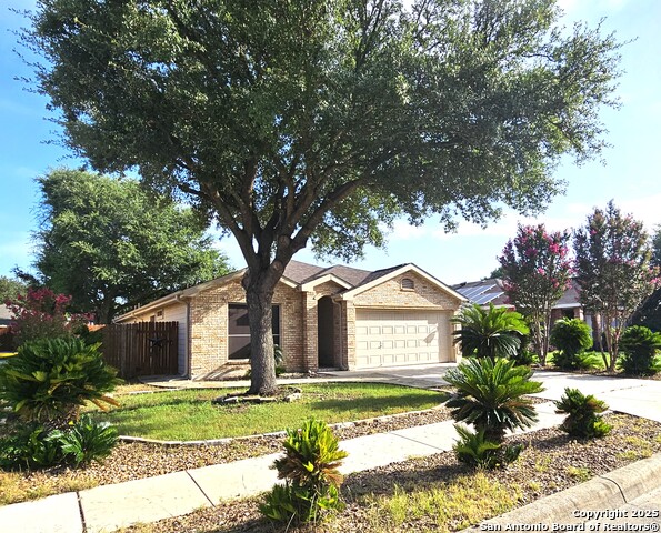 9119 Hampton Hills, Selma, Texas image 22