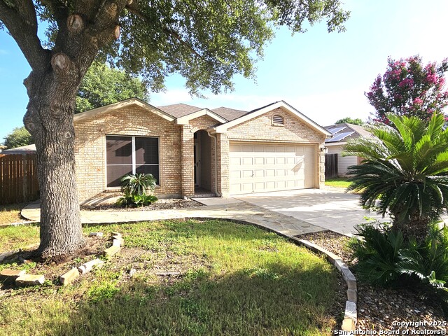 9119 Hampton Hills, Selma, Texas image 23