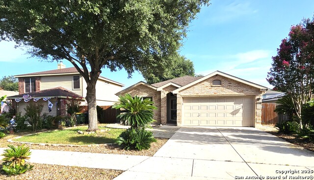 9119 Hampton Hills, Selma, Texas image 26