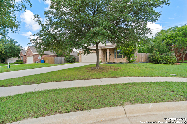 104 Coriander, Cibolo, Texas image 2