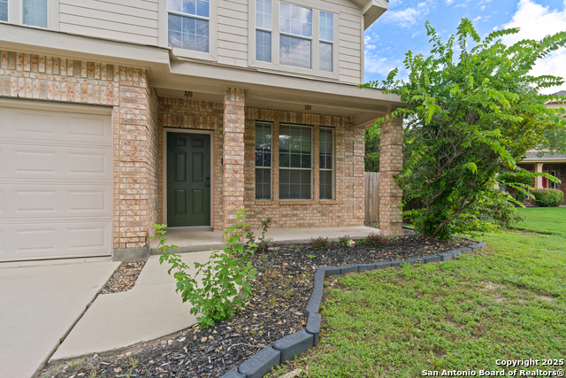104 Coriander, Cibolo, Texas image 4