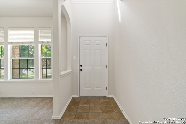 104 Coriander, Cibolo, Texas image 5