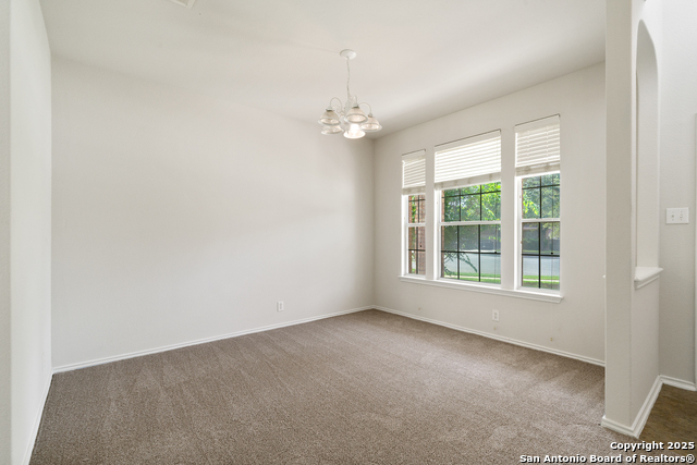 104 Coriander, Cibolo, Texas image 6