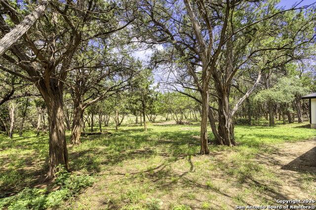 188 Old Camp, Bandera, Texas image 18