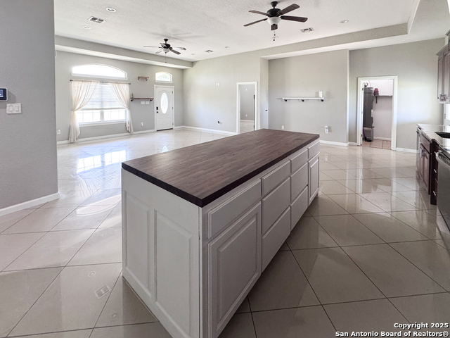 7286 Elm Creek, Seguin, Texas image 9