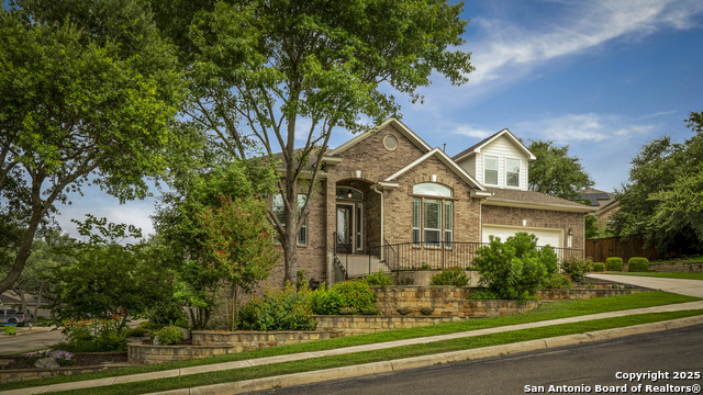 8425 Artesia, Helotes, Texas image 1