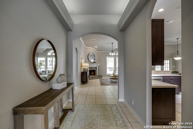 8425 Artesia, Helotes, Texas image 10