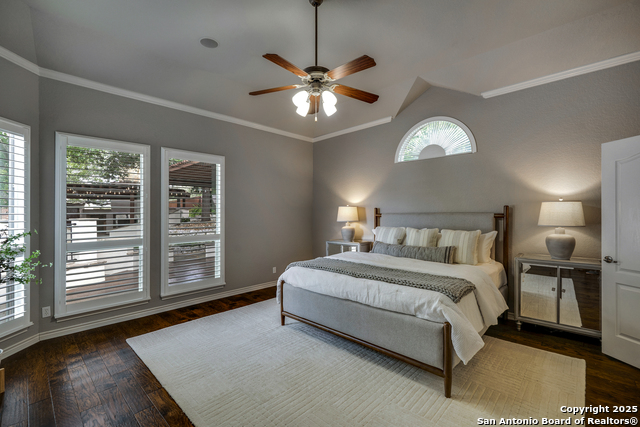 8425 Artesia, Helotes, Texas image 21