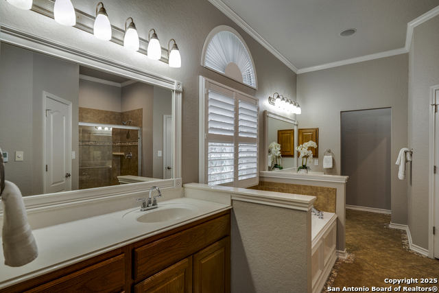 8425 Artesia, Helotes, Texas image 23