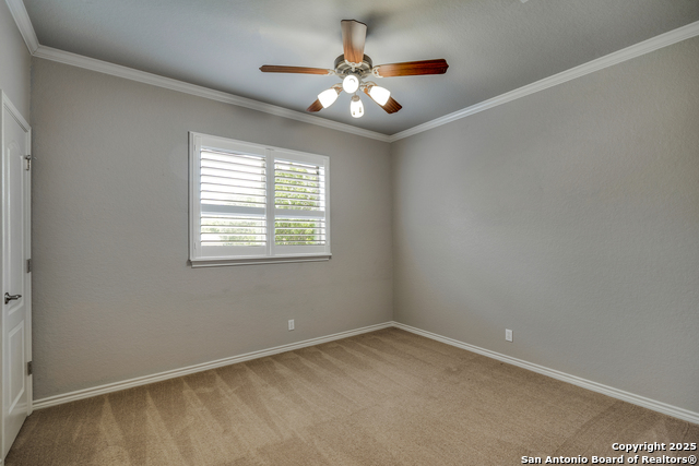 8425 Artesia, Helotes, Texas image 26