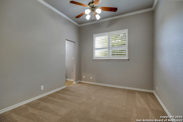 8425 Artesia, Helotes, Texas image 28