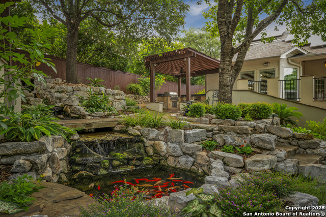 8425 Artesia, Helotes, Texas image 3