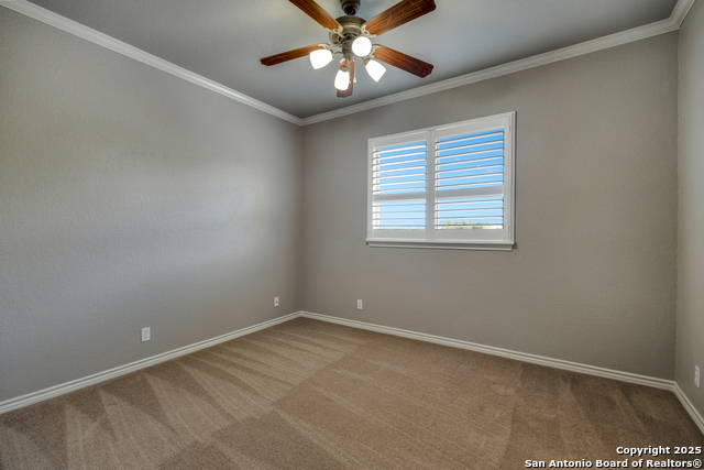 8425 Artesia, Helotes, Texas image 30