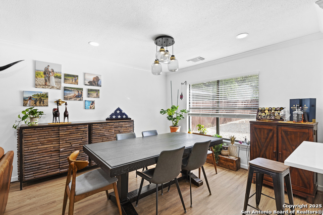 13423 Forum, Universal City, Texas image 7