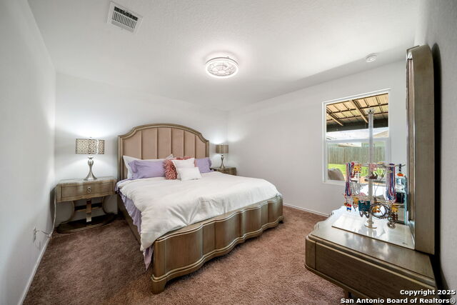 9101 Honey Mesquite, Seguin, Texas image 12