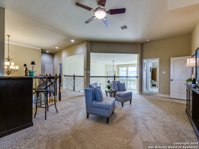 952 Wilderness Trail, New Braunfels, Texas image 25