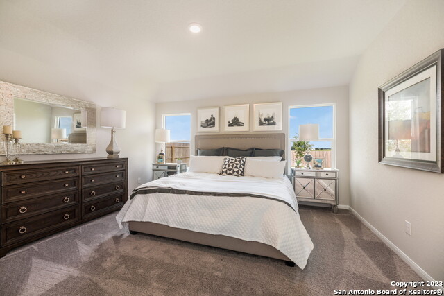 760 Opossum Trl, New Braunfels, Texas image 11