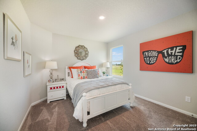 760 Opossum Trl, New Braunfels, Texas image 12