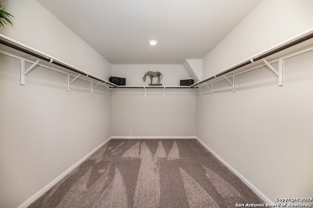 760 Opossum Trl, New Braunfels, Texas image 16