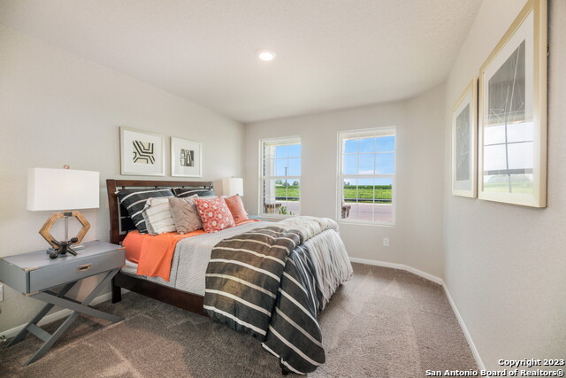 760 Opossum Trl, New Braunfels, Texas image 18