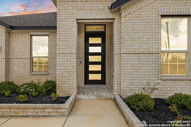 127 Arched Oak, Floresville, Texas image 2