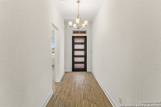 127 Arched Oak, Floresville, Texas image 3