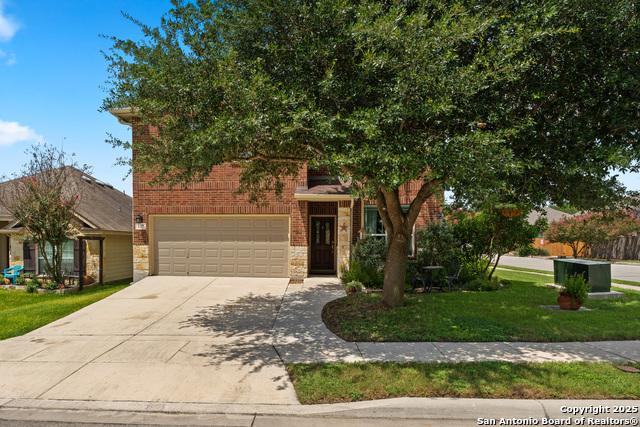 137 Enchanted View, Cibolo, Texas image 4