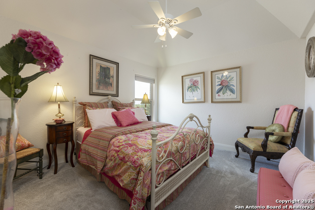 8918 Irving, Boerne, Texas image 30