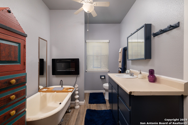 1060 Forest View Dr, Blanco, Texas image 13