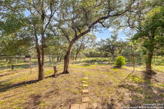 1060 Forest View Dr, Blanco, Texas image 16