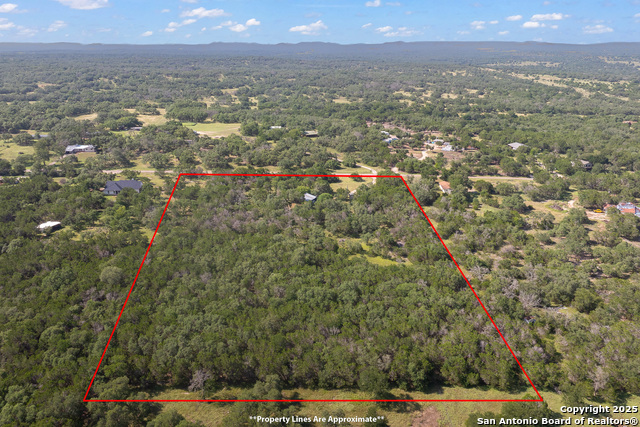 1060 Forest View Dr, Blanco, Texas image 29