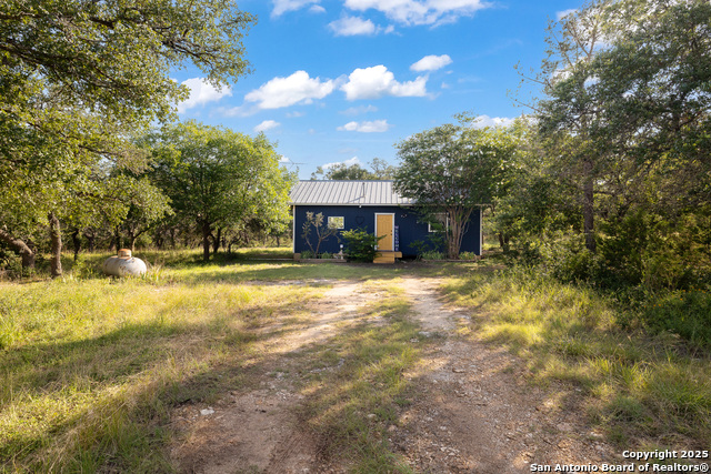 1060 Forest View Dr, Blanco, Texas image 3