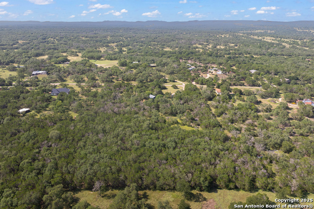 1060 Forest View Dr, Blanco, Texas image 30