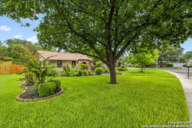 100 Lincoln, Schertz, Texas image 3