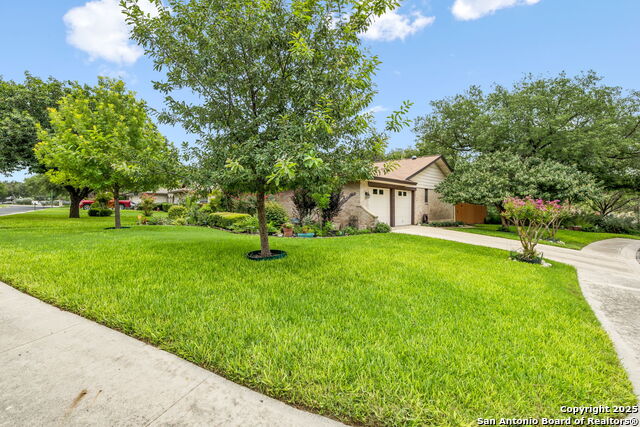 100 Lincoln, Schertz, Texas image 49