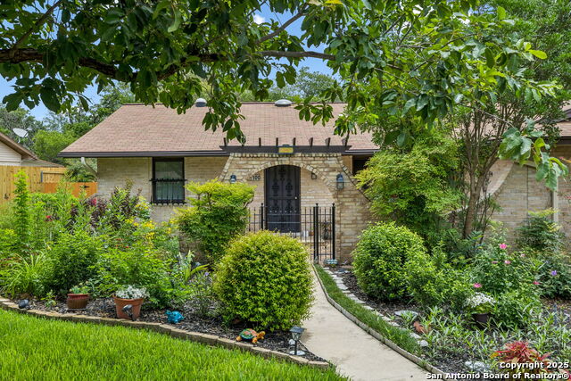 100 Lincoln, Schertz, Texas image 5