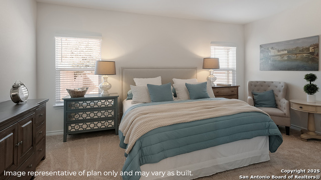 12641 Olozaga, Converse, Texas image 9