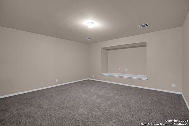 109 Lieck, Cibolo, Texas image 29