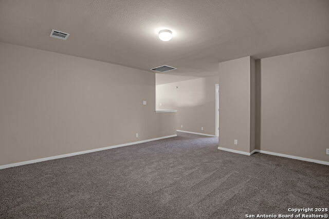 109 Lieck, Cibolo, Texas image 30