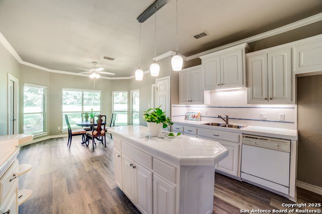 29435 Fairway Bluff, Boerne, Texas image 12