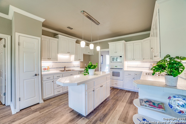 29435 Fairway Bluff, Boerne, Texas image 13